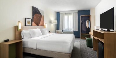 bapi-spark-americas-kingbed-01